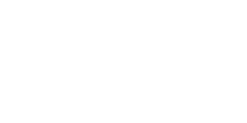 Teltonika partner logo placeholder